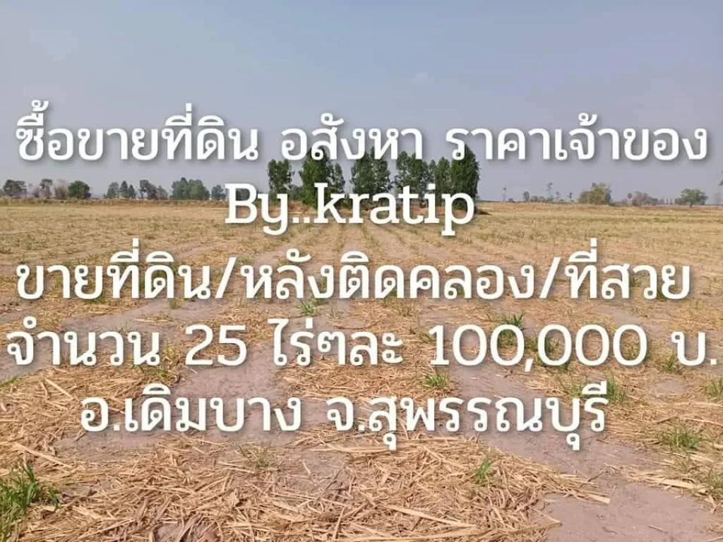 ขายที่ดิน จำนวน 25ไร่ สุพรรณบุรี เหมาะสำหรับทำพืชไร่