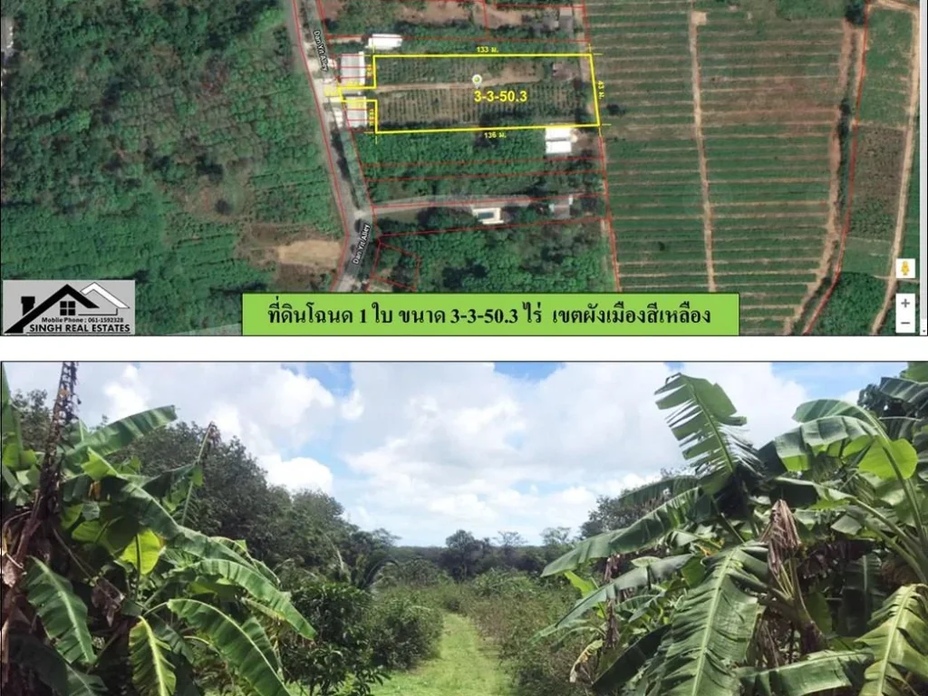 ขายที่ดิน 3-3-503ไร่ บ้านด่านหยิด ผังสีเหลือง 165ลบ ลดเหลือ 95 ลบ