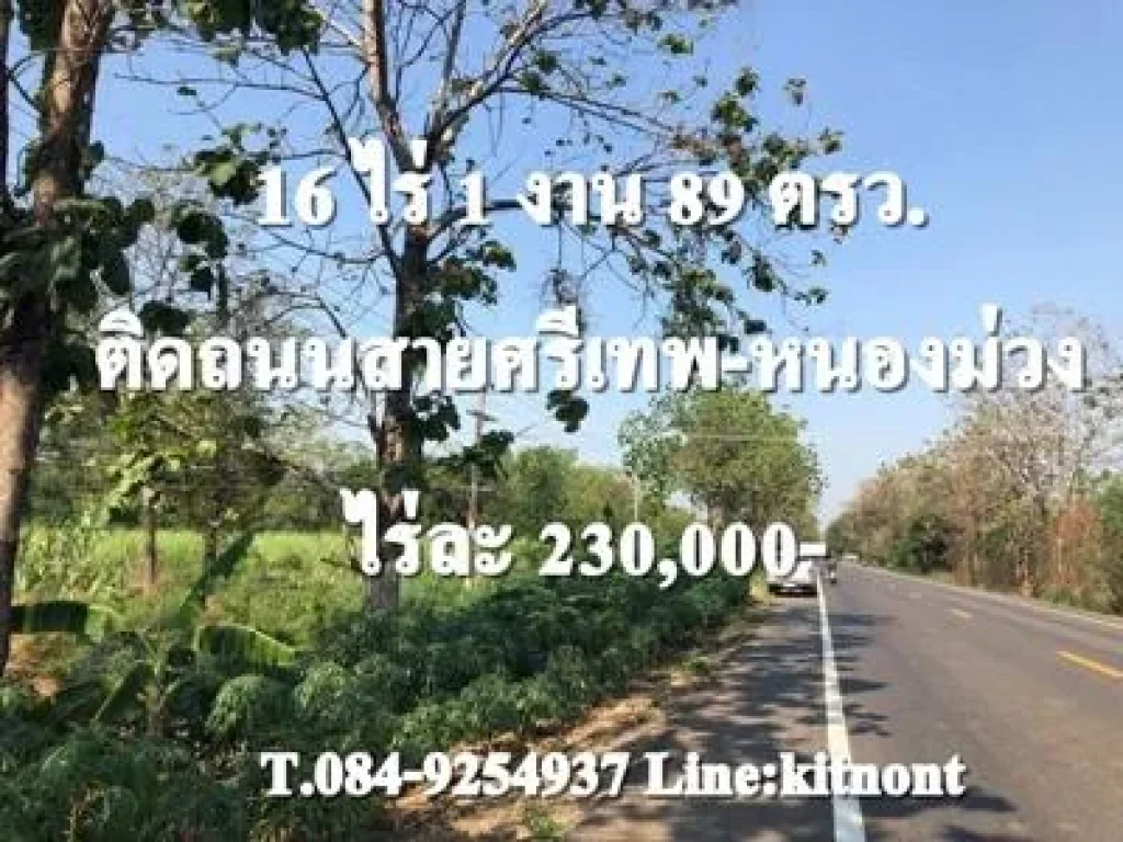 ที่ดินติดถนนหนองม่วง ศรีเทพ 16ไร่กว่า