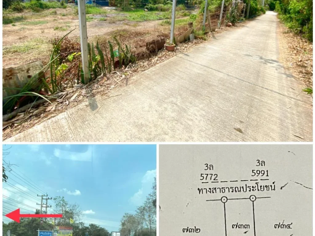 ขายที่ดินปลูกบ้าน ติดถนนคอนกรีต 50ตรว 250000 พร้อมออกค่าโอนให้