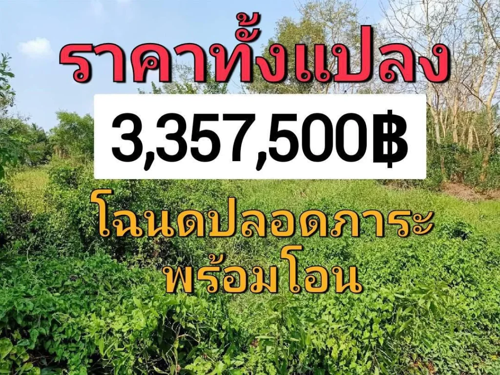 ขายที่ดิน395ตรว คลอง6ตะวันตก13เข้าซอย1กม