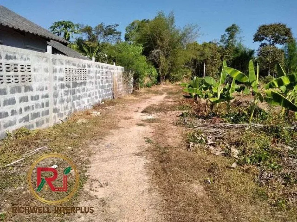 ขายที่ดิน160ตรวราคาถูกอเมืองปราจีนจปราจีนบุรี