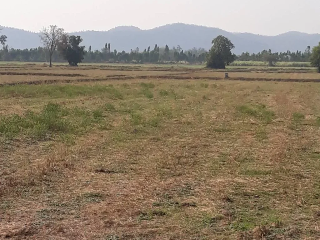 ขายที่ดิน อู่ทองสุพรรณ วิวเขา 200 ตรว พอเพียง พอดี พอเหมาะ บรรยากาศดีเหมาะสร้างบ้านสวนเกษตรพอเพียง