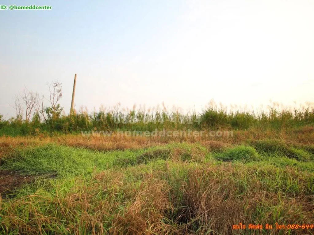 ขายที่ดิน 2 ไร่ บางนา บางบ่อ บางพลี ใกล้ ม เอแบค บางนา