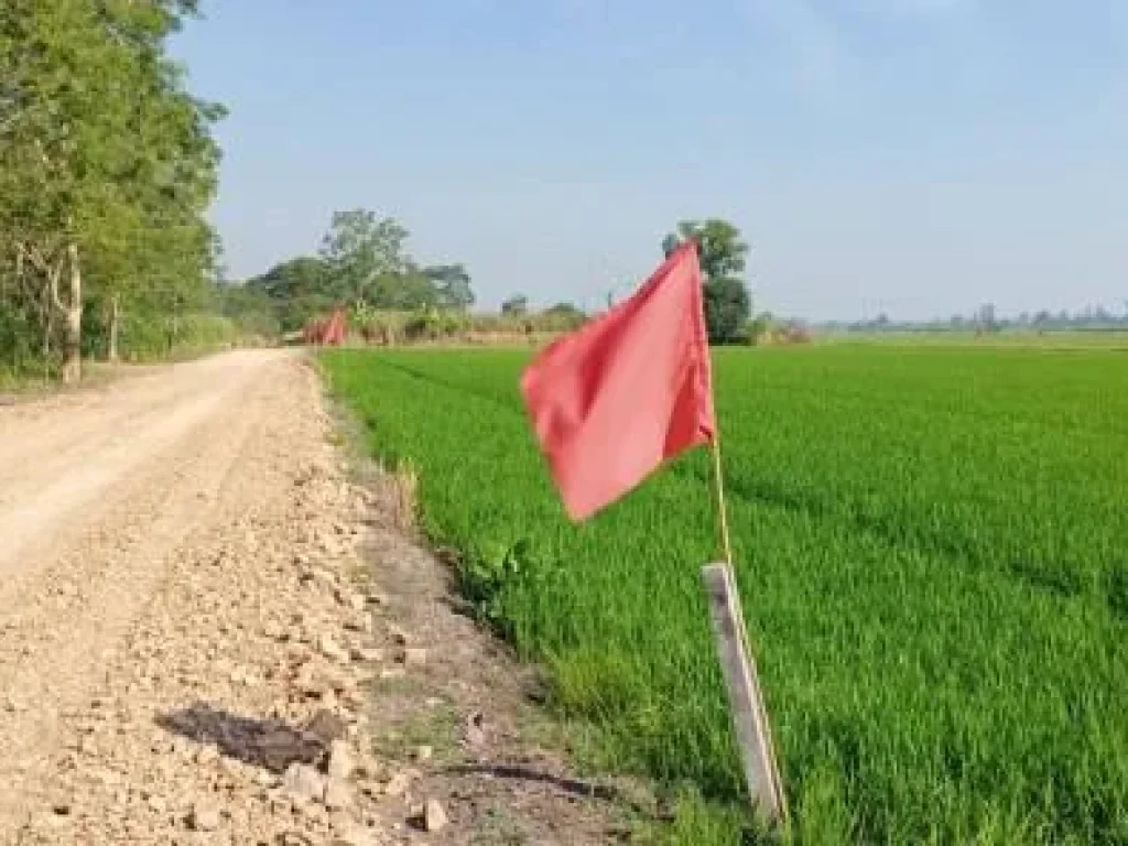 ขายที่ดินสวยสดผ่อนติดถนนหลักคลอง13 ลำลูกกา ลำไทร ปทุมธานี