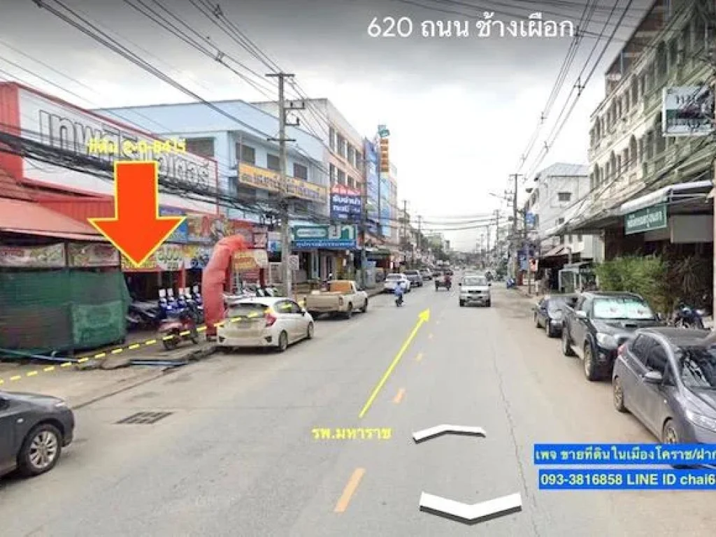 ขายที่ดิน 884ตรวติดถนนช้างเผือก ในเมืองโคราช