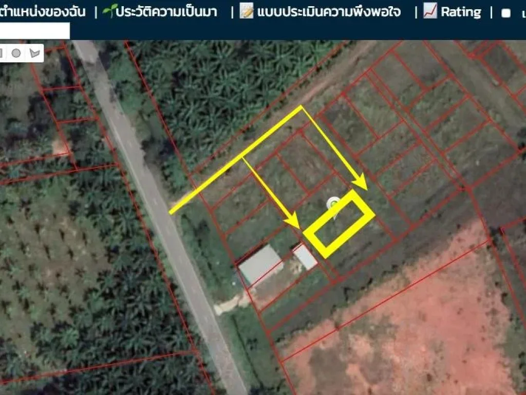 ที่ดิน 60 ตรวา สี่แยกอนามัย - วัดพุทธ หลังราชภัฎ ตมะขามเตี้ย จสุราษฎร์