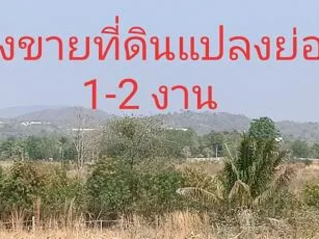 ขายที่ดินจัดสรร1-2 งาน ปากช่อง