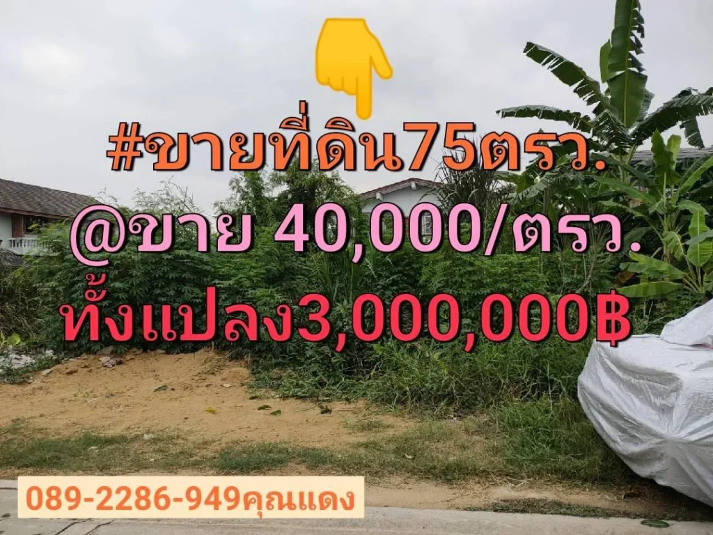 ขายที่ดินถมแล้วเหมาะสร้างที่อยู่อาศัย เนื้อที่ 75ตรวติดถนนคอนกรีต