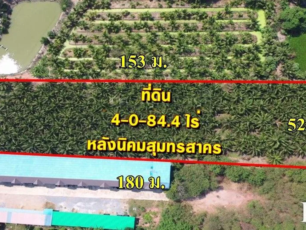 ที่สวย 4 ไร่เศษ ทำเลทองหลังนิคมสุทรสาคร ลงตัวทั้งทำโรงงานและกิจการหอพัก ราคาพิเศษ เชื่อมต่อถนนสวนส้ม-พระราม 2