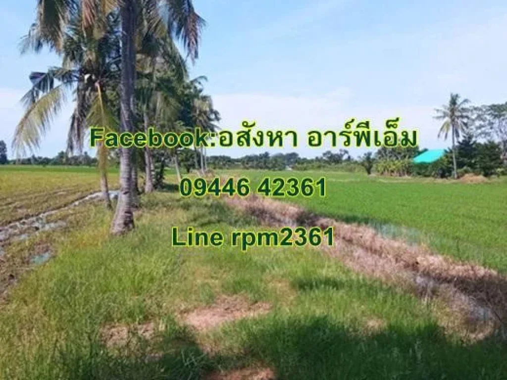 ขาย 2 ล้าน ที่ดินเนื้อที่ 5 ไร่ 28 ตรว เขตเมืองชัยนาท ห่างจาก สะพานธรรมจักร ประมาณ 3 กิโล