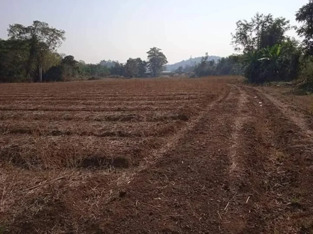 ที่ดินแปลงสวย โฉนด ติดถนน ราบทั้งแปลง อุตรดิตถ์