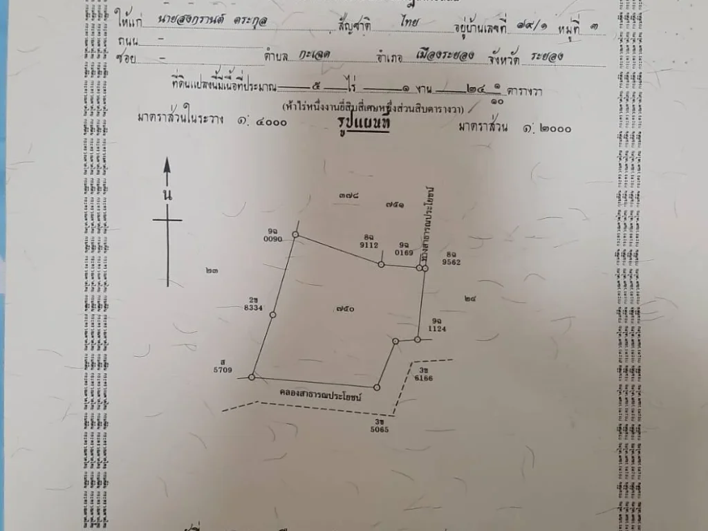 ขายที่ดินเปล่า5ไร่1งาย อยู่ สำนักทอง-กะเฉด ซอยไปดีมาดี1เมือง ระยอง