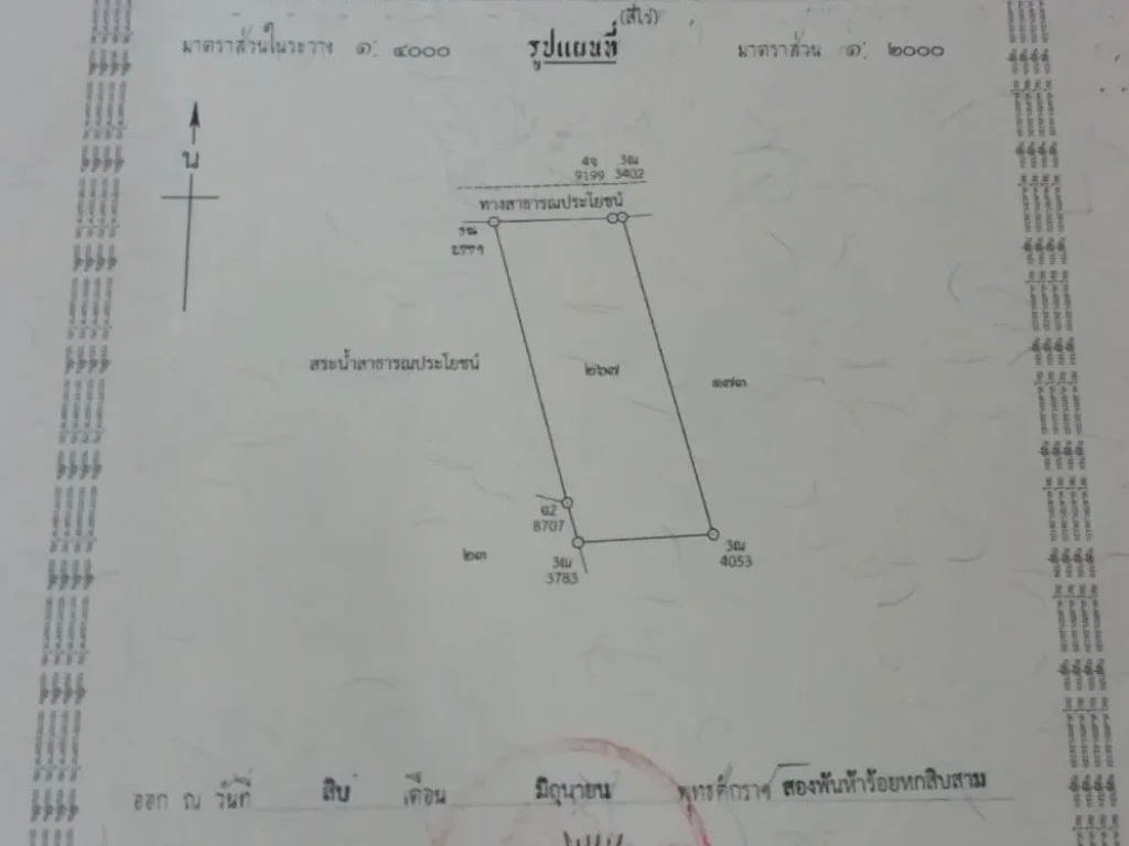 ขายที่ดินสวน4ไร่ อยู่ป่ายุบใน-ท่าเสา วังจันทร์ ระยอง