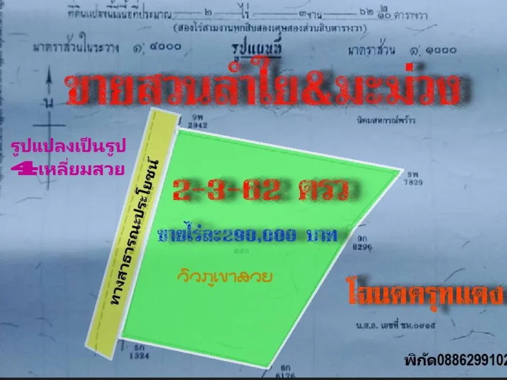 ขาย สวนลำไยampสวนมะม่วง เก็บขายได้ผลิตทุกปี เหมาะกับคนลงทุนได้ผลกำไรเลย เก็บเกี่ยวผลิตอย่างเดียวไม่ต้องมาเริ่มต้นปลูกใหม่