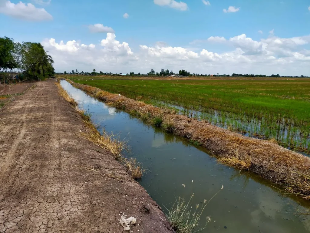 ขายที่ดิน100 ไร่ไร่ละ480000-ติดถนนหินคลุกคลองดิน ตบางหลวง อบางเลน จนครปฐมเหมาะทำฟาร์มกุ้งปลาไก่ขุดดินขาย