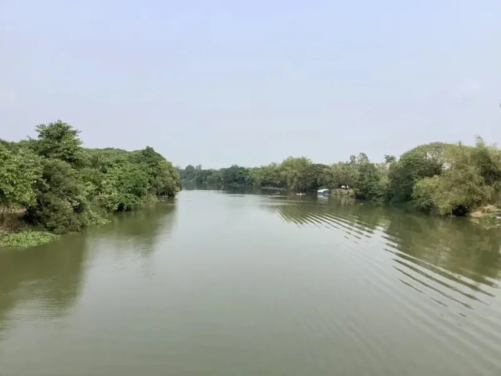 ขายที่ดินติดแม่น้ำปราจีนบุรี 18 ไร่ บรรยากาศดี อำเภอศรีมหาโพธิ จังหวัดปราจีนบุรี