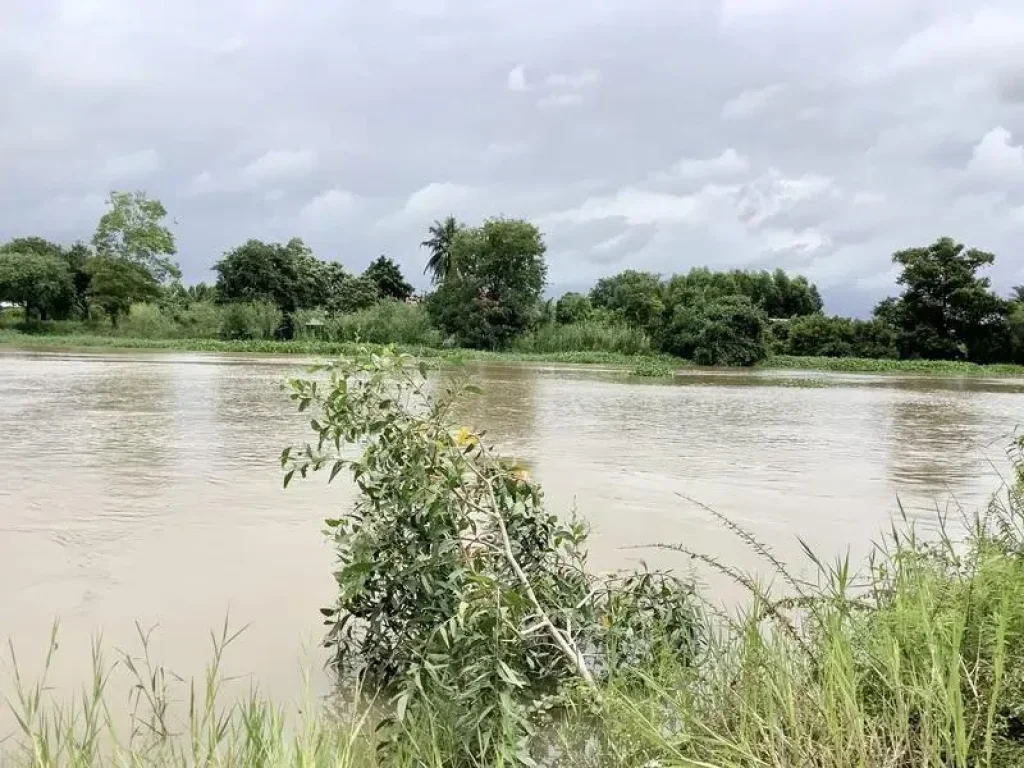 ขายที่ดินติดแม่น้ำ 8 ไร่ 1 งาน ร่มรื่น อากาศดี อำเภอบ้านสร้าง จังหวัดปราจีนบุรี