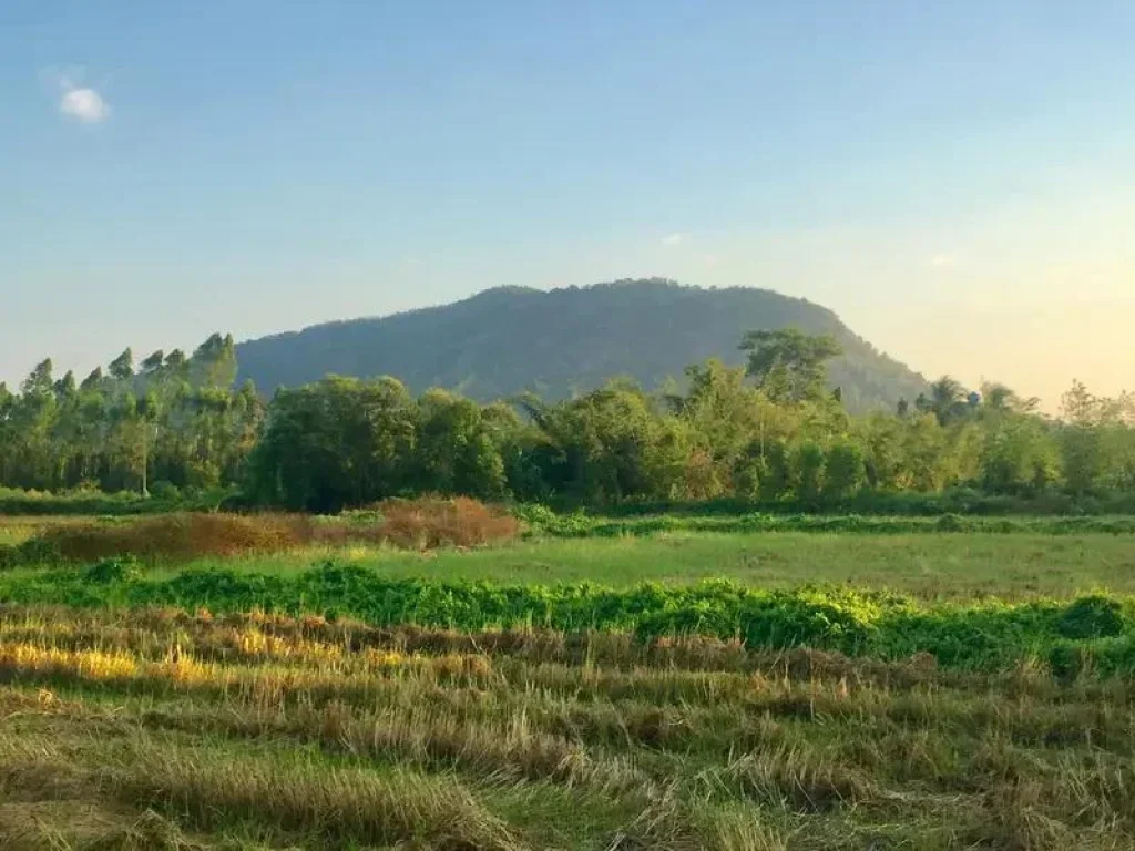 ขายที่ดินใกล้เขา 2 ไร่ วิวสวยมาก ตำบลเนินหอม อำเภอเมืองปราจีนบุรี