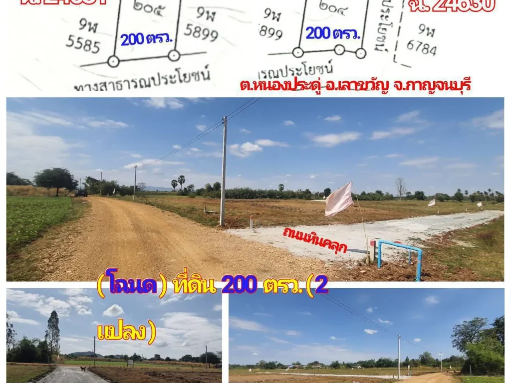 โฉนด ที่ดิน 200 ตรว ขาย 180000 บ ถมไว้ 50 ตรว สร้างบ้านได้ ทางสาธารณ ไฟฟ้า น้ำประปา หมู่บ้าน ตหนองประดู่ อเลาขวัญ จกาญจนบุรี