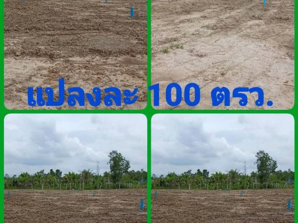 ขายที่ดินเปล่า 100 ตรว มีโฉนด ใกล้สนามบินหาดใหญ่ ใกล้สนงที่ดิน ใกล้มหาลัยรามคำแหง