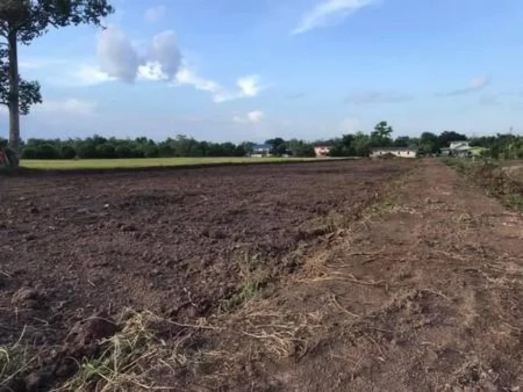 ขาย ที่ดิน ถมแล้ว บ้านปทุม สามโคก ปทุมธานี 3 ไร่ 192 ตรวา ติดถนนหลังมหาลัยธรรมศาสตร์ปทุมธานี