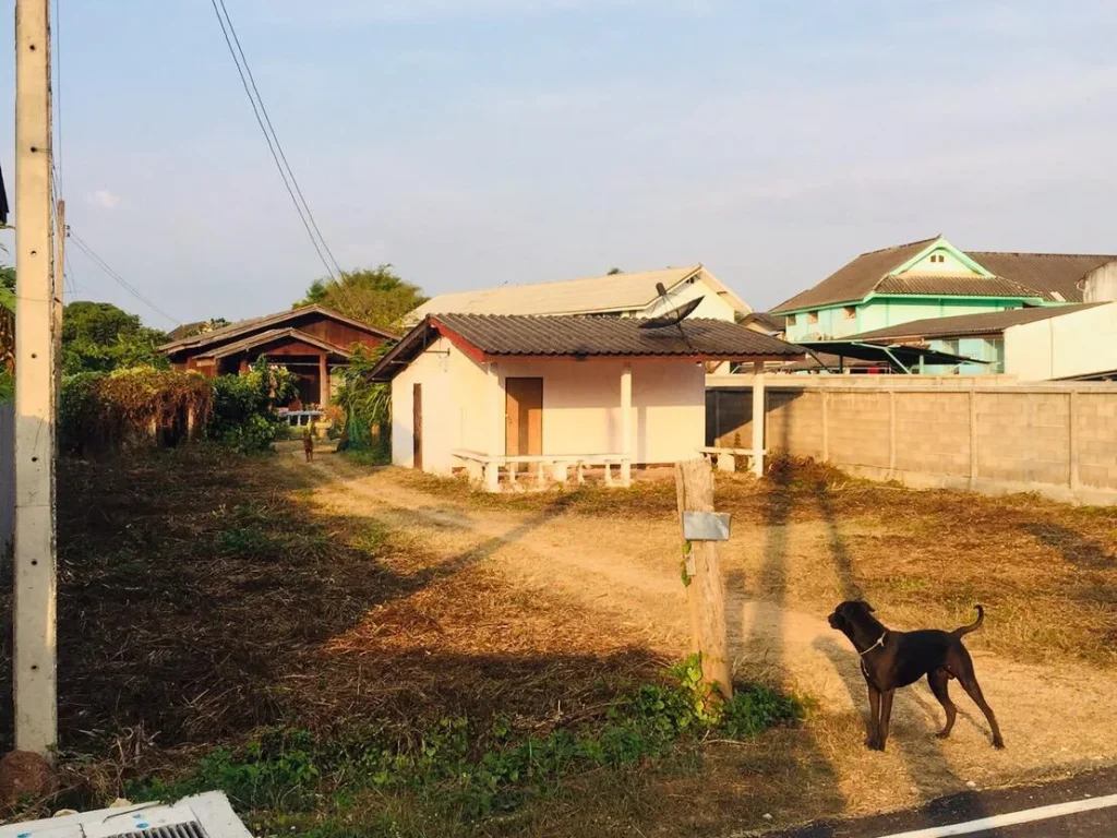 ขายที่ดินพร้อมบ้านอำเภอเกาะคาจังหวัดลำปาง 389 ตรว 2400000 บาท อยู่หลังสพฐเกาะคา อยู่หลังตลาดใกล้ชุมชน