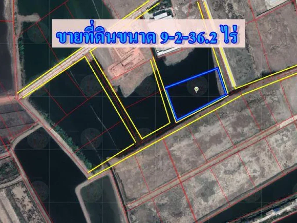 S335 ขายที่ดินพร้อมถมแล้ว ขนาด 9-2-362 ตรว พื้นที่สี่เหลี่ยมสวยงาม ใกล้กับถนนพระราม 2 บางหญ้าแพรก สมุทรสาคร