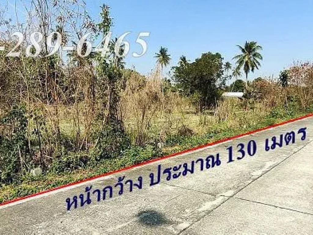 ขายที่ดิน 2  2  62 ไร่ ซอยวัดแก้วฟ้า บางขนุน นนทบุรี ใกล้โรงพยาบาลบางกรวย เหมาะสำหรับลงทุน Tel 061-289-6465