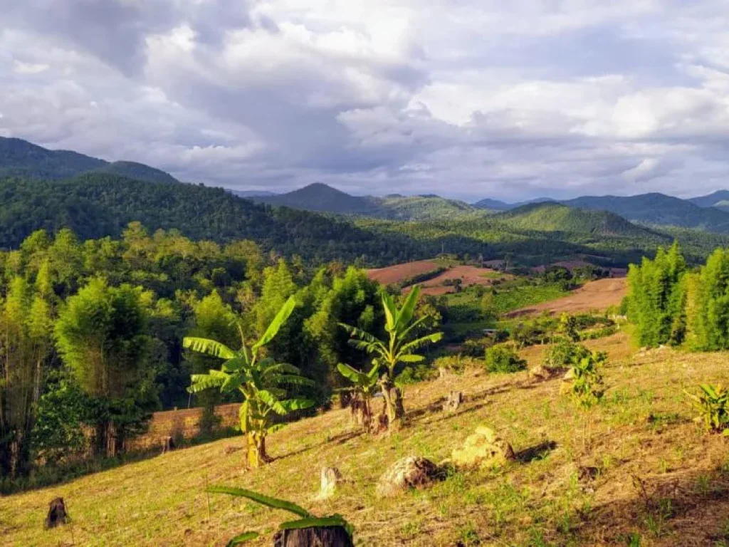 ที่ดินวิวภูเขาสวยที่สุดในปาย