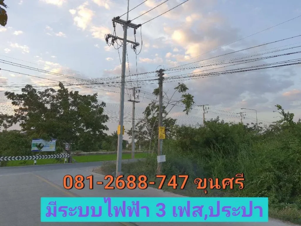 ขายที่ดินแปลงมุม 399 ตารางวา ใกล้ถนน 346 ติดถนนลาดยางเทศบาล 2 อำเภอ ลาดหลุมแก้ว ปทุมธานี