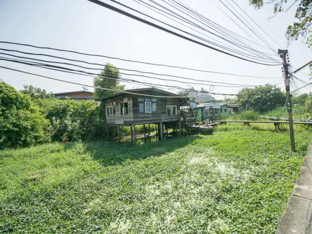 ขาย ที่ดิน ซเทพกุญชร 131 ตรงข้าม มธรรมศาสตร์ รังสิต เชียงรากน้อย ปทุมธานี