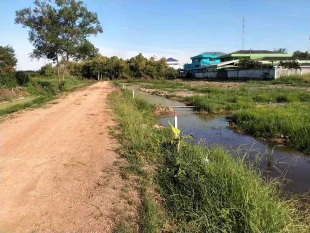 แบ่งขาย ที่ดินหลังโรงพยาบาลคลองหลวง คลอง6 จปทุมธานี