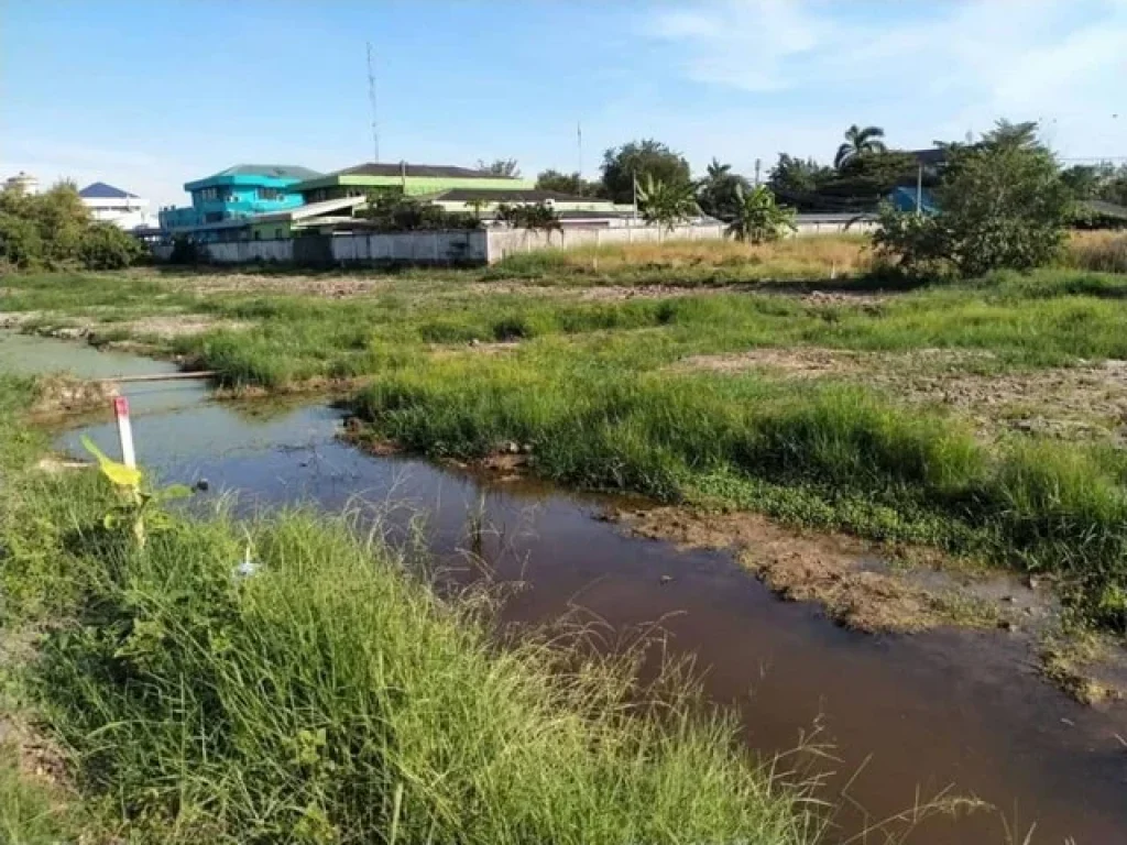 แบ่งขาย ที่ดินหลังโรงพยาบาลคลองหลวง คลอง6 จปทุมธานี