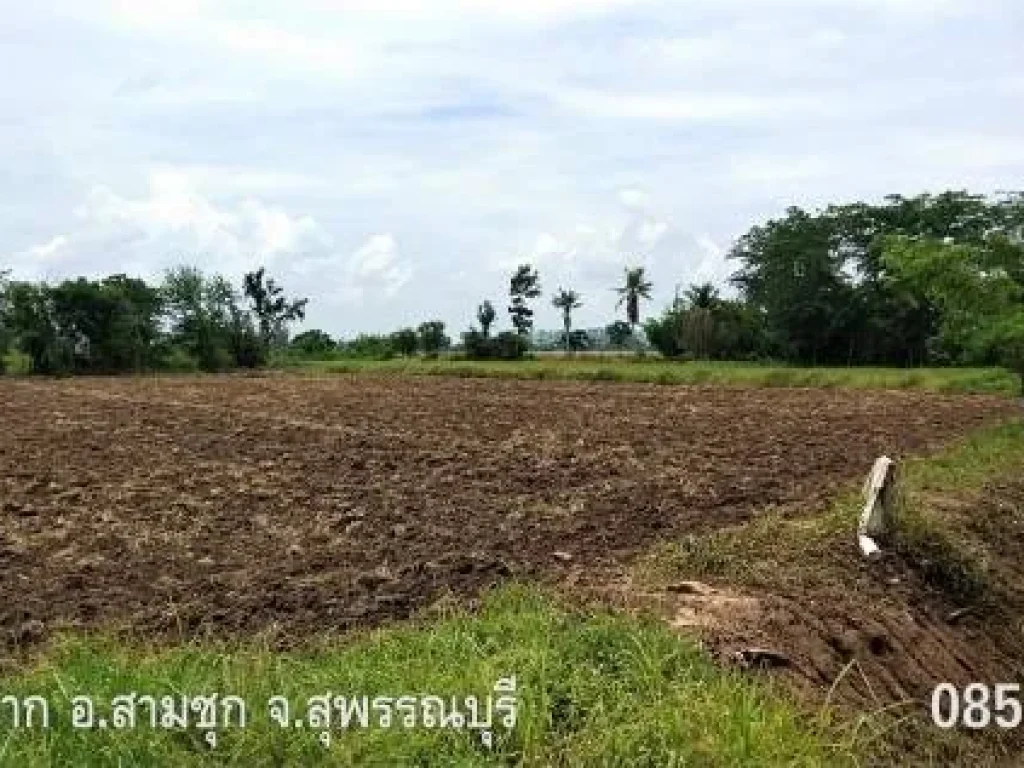 ขายที่ดินโฉนด ตหนองผักนาก อสามชุก จสุพรรณบุรี