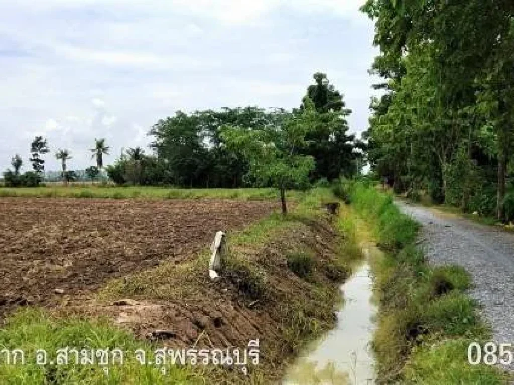 ขายที่ดินโฉนด ตหนองผักนาก อสามชุก จสุพรรณบุรี