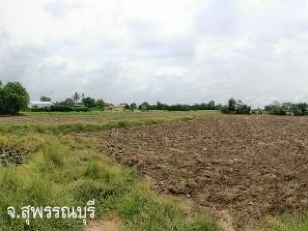 ขายที่ดินโฉนด ตหนองผักนาก อสามชุก จสุพรรณบุรี