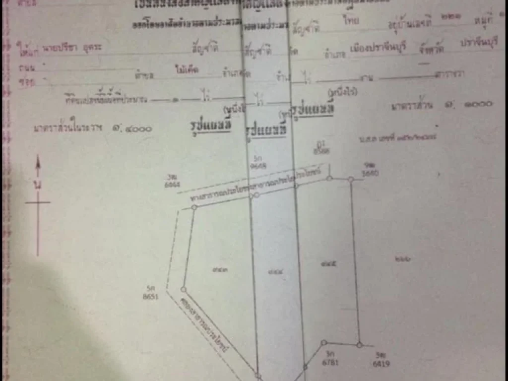 ขายที่ดินสวน 3 ไร่ ราคาไร่ละ 1200000บาท ดินและน้ำอุดมสมบูรณ์เหมาะสำหรับทำการเกษตรและที่พักอาศัย ตำบล ไม้เค็ด อำเภอเมือง ปราจีนบุรี ห่างจากศูนย์ราชกา