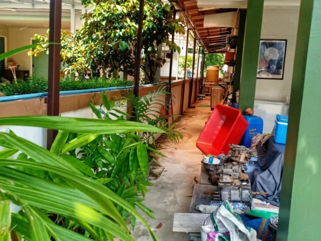 ขายบ้านเดี่ยว มฮาบีเทีย พุทธมณฑลสาย 2 107 ตรว บ้านหลังมุม ตกแต่งใหม่ทั้งหลัง