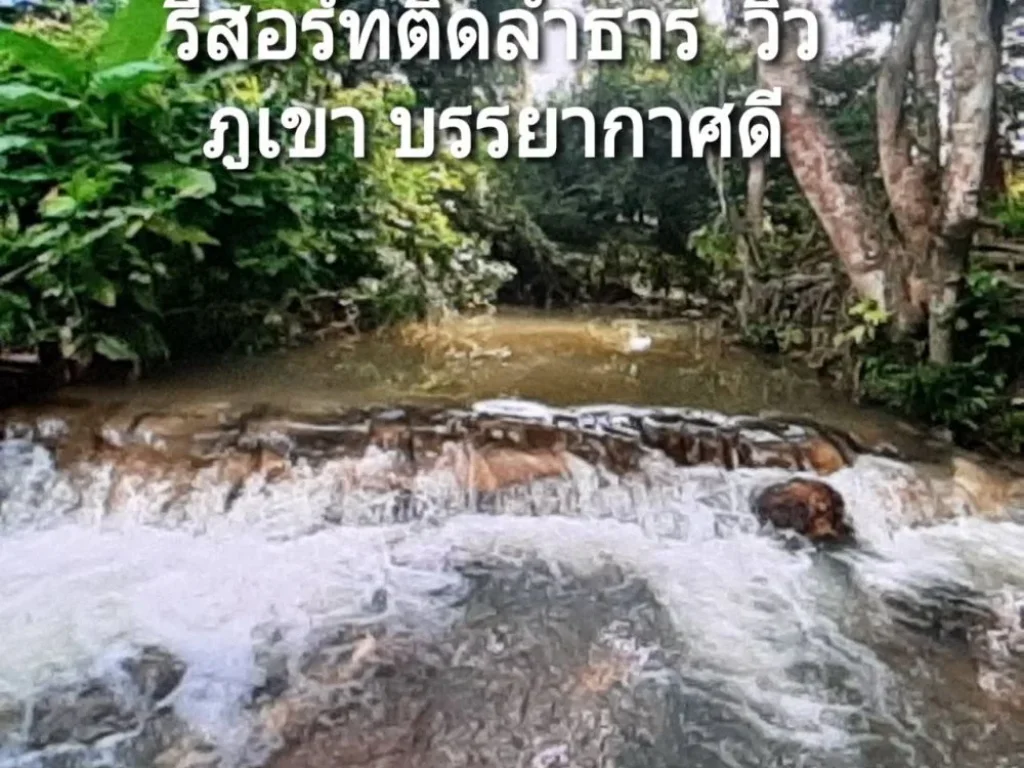 ขายสวนทุเรียนหมอนทอง 18 ไร่ ทรงพุ่มสวย พร้อมบ้าน ติดลำธารใส