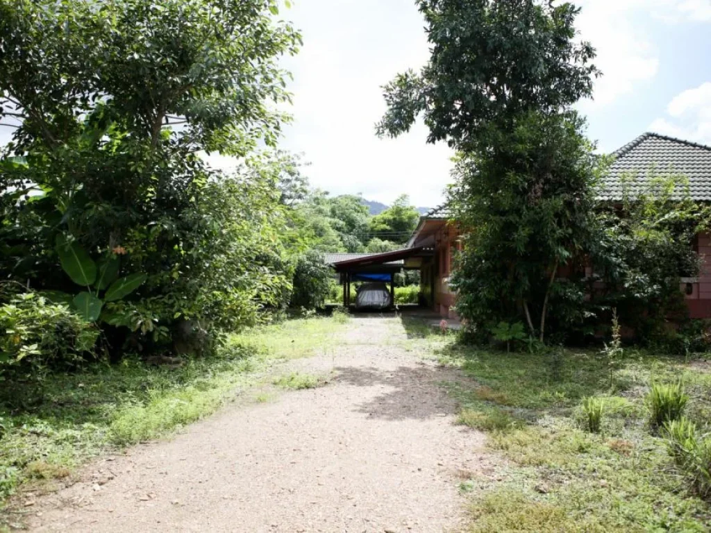 ขายบ้านเดี่ยวสวนตัว House for sale in Maesod Tambon Maekasa Baan Mai Lai Ta 