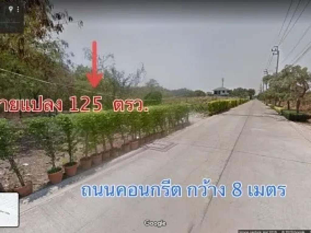 ขายที่ดิน 125 ตรว ศรีด่าน22 ศรีนครินทร์ บางนา สมุทรปราการ แปลงมุม เหมาะอยู่อาศัย ทำร้านสะดวกซื้อ