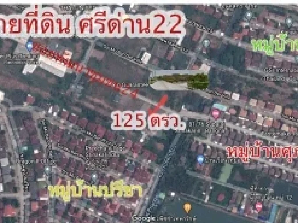 ขายที่ดิน 125 ตรว ศรีด่าน22 ศรีนครินทร์ บางนา สมุทรปราการ แปลงมุม เหมาะอยู่อาศัย ทำร้านสะดวกซื้อ