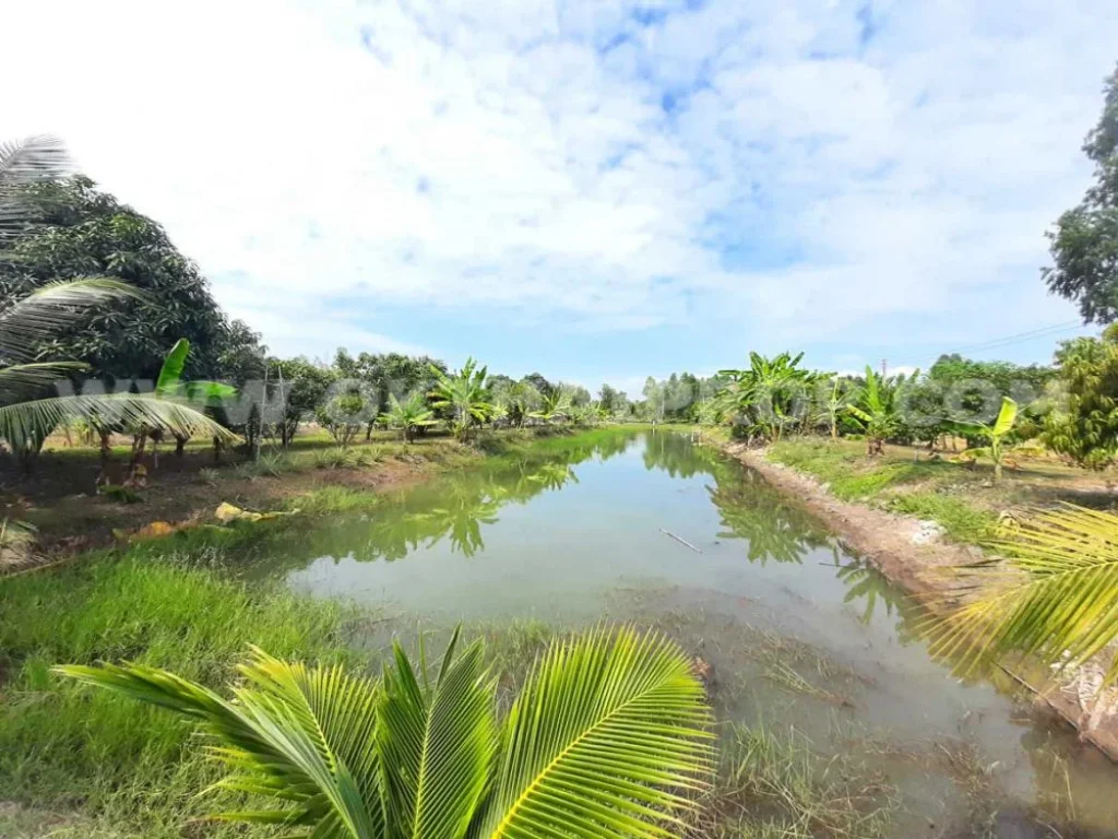 4089 ที่ดินพร้อมสิ่งปลูกสร้าง ถโยธาธิการ ซปฏิรูป นครนายก