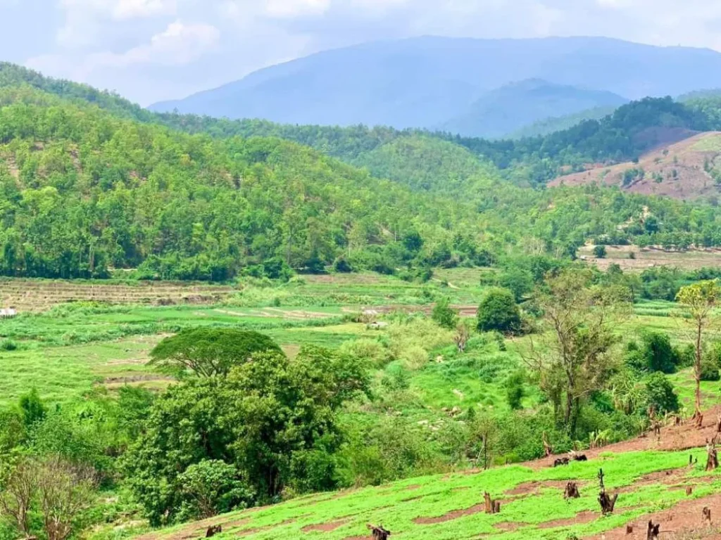 ขายที่ดินติดลำเหมืองไหลผ่าน แม่แจ่ม ท่าผา ราคาถูก