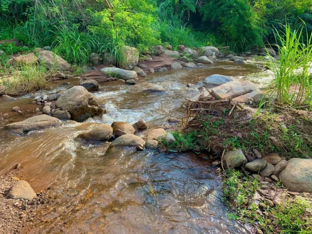 ขายที่ดินติดลำเหมืองไหลผ่าน แม่แจ่ม ท่าผา ราคาถูก