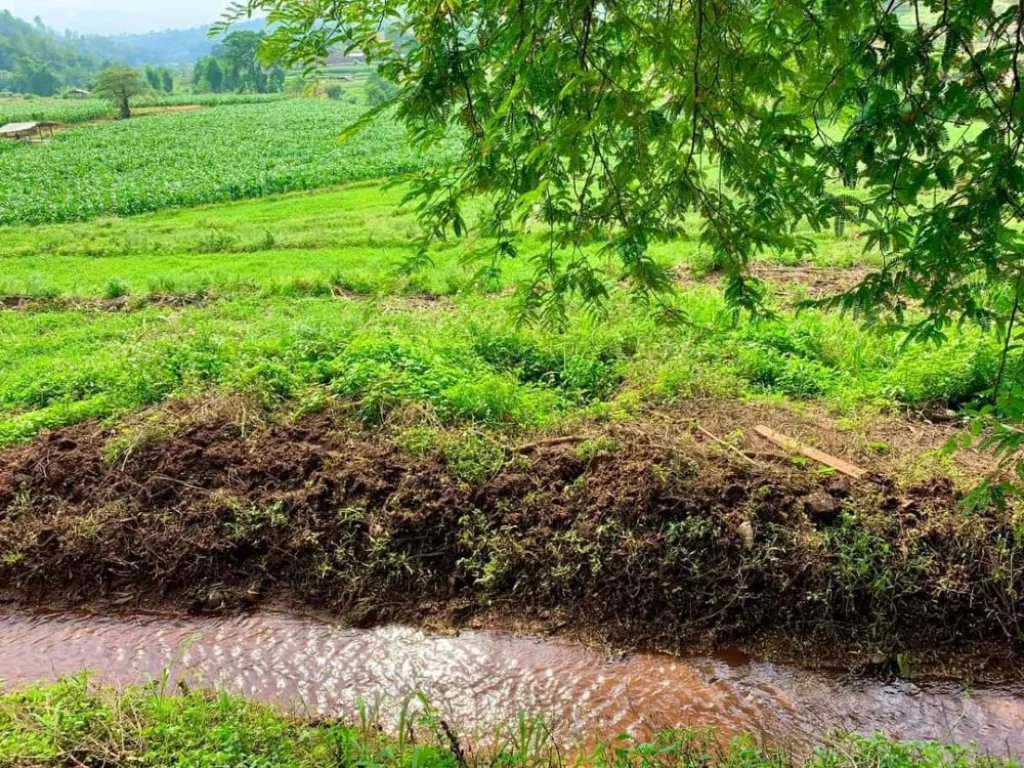 ขายที่ดินติดลำเหมืองไหลผ่าน แม่แจ่ม ท่าผา ราคาถูก