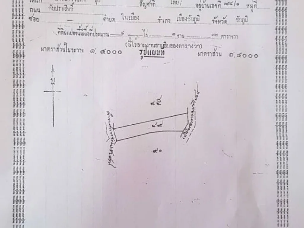 ขายที่ดิน 15 ไร่ แปลงใหญ่ ทำเลดี เหมาะแก่การลงทุน ทุกประเภท จังหวัดชัยภูมิ โทร 081-5474789