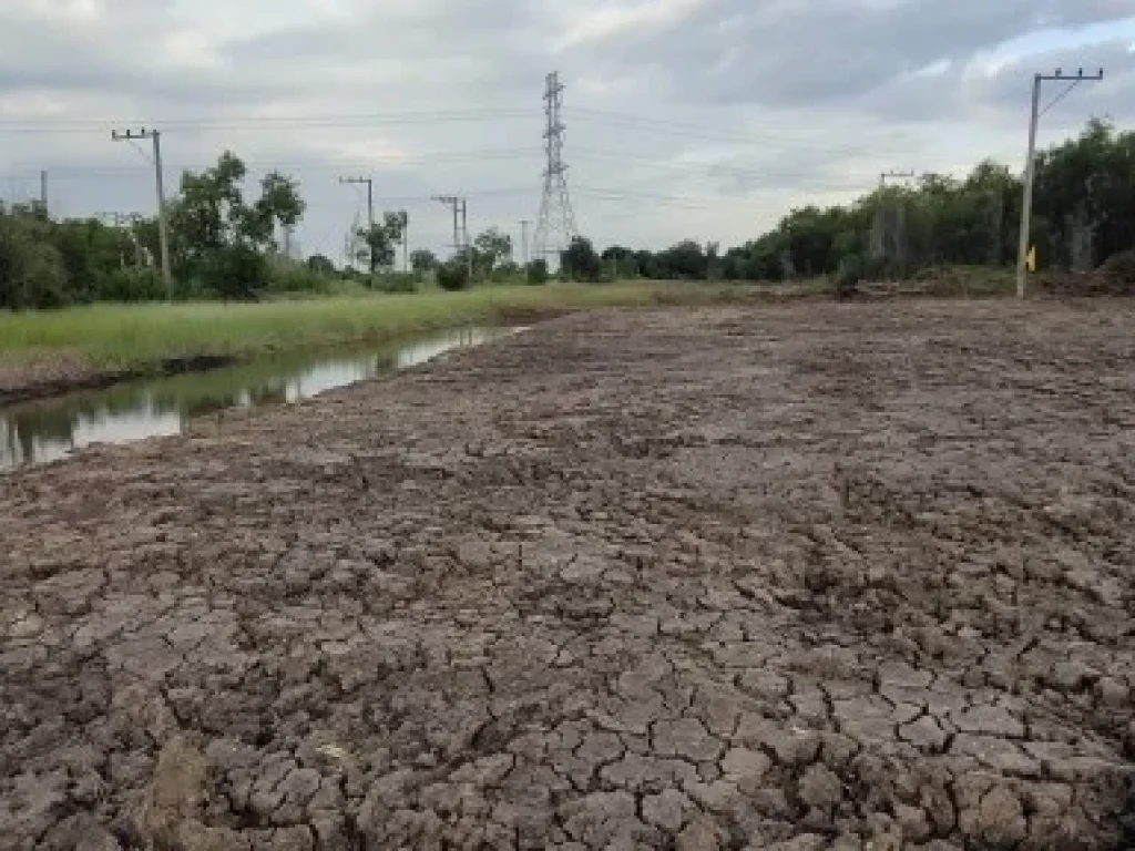 ขายด่วนที่ดินคลอง11 หนองเสือ ปทุมธานี พร้อมน้ำไฟ