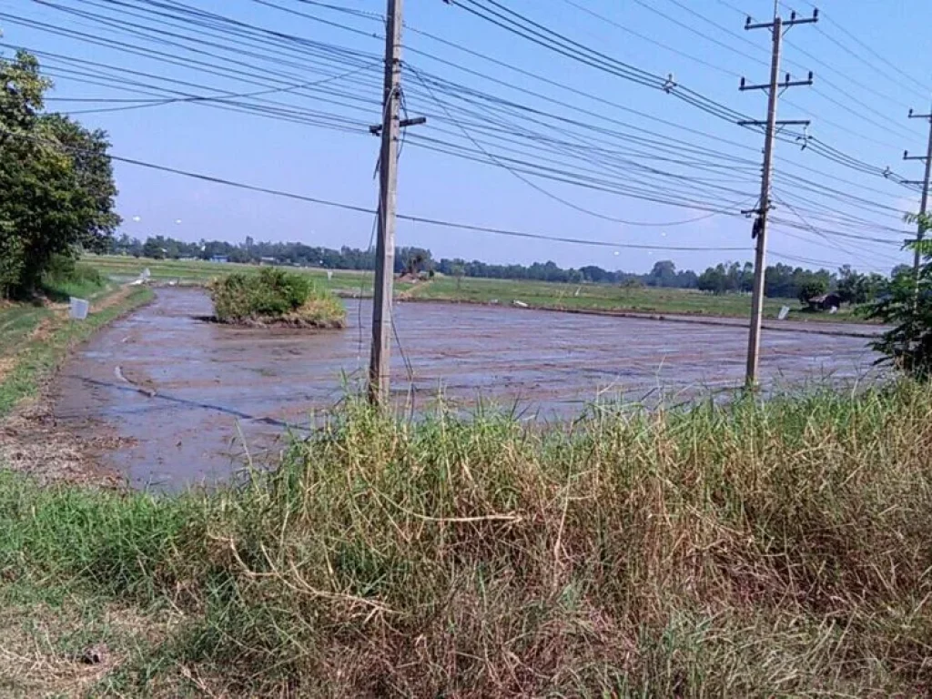 ขายที่ดิน 84ไร่ 2 งาน 36 ตรว ติดถนน 4 เลน จากตัวเมืองพิจิตร 6 โล